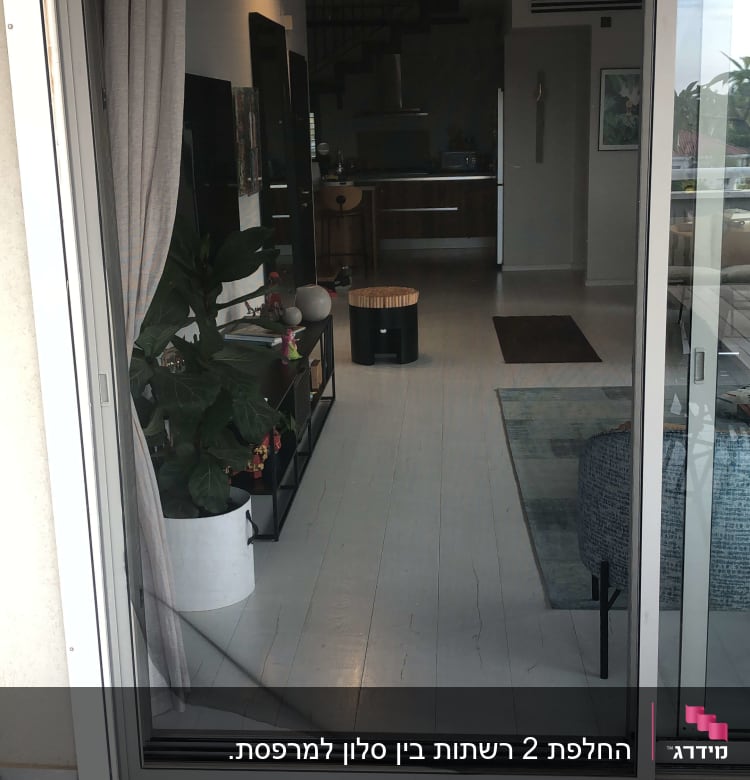 פנים דירה עם מטבח, צמחייה ודלת זכוכית